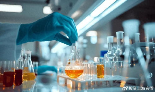 貝科在松江啟用全新研發(fā)中心，提升技術(shù)服務(wù)能力