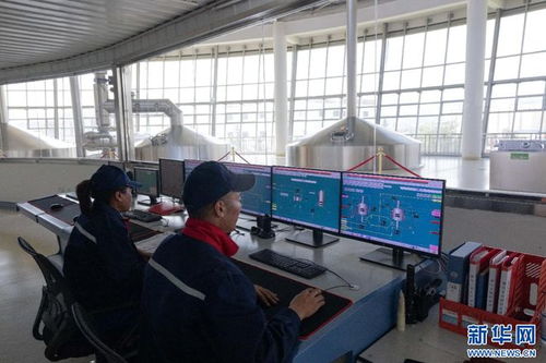 拉薩經(jīng)開區(qū) 科技驅(qū)動高原特色產(chǎn)業(yè)蓬勃發(fā)展